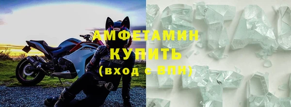 шишки Новодвинск