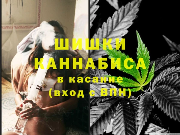 индика Новокубанск
