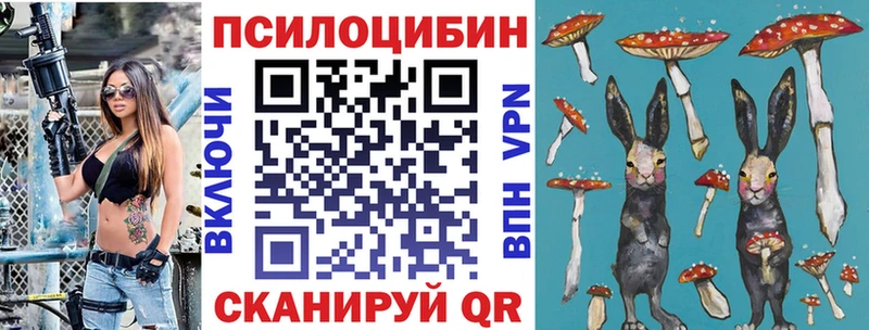 магазин продажи   Тюмень  Псилоцибиновые грибы ЛСД 